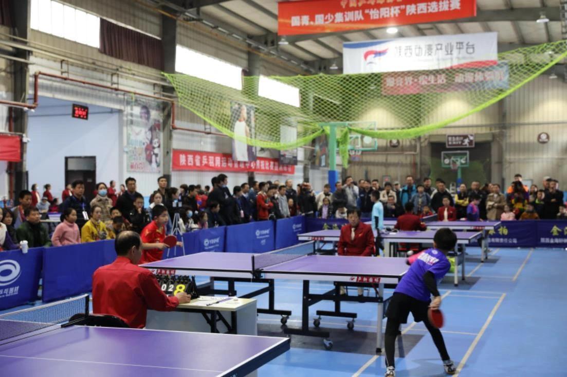 绽放光芒 绽放光芒