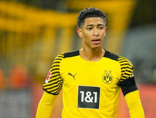 了本届赛事 了本届赛事