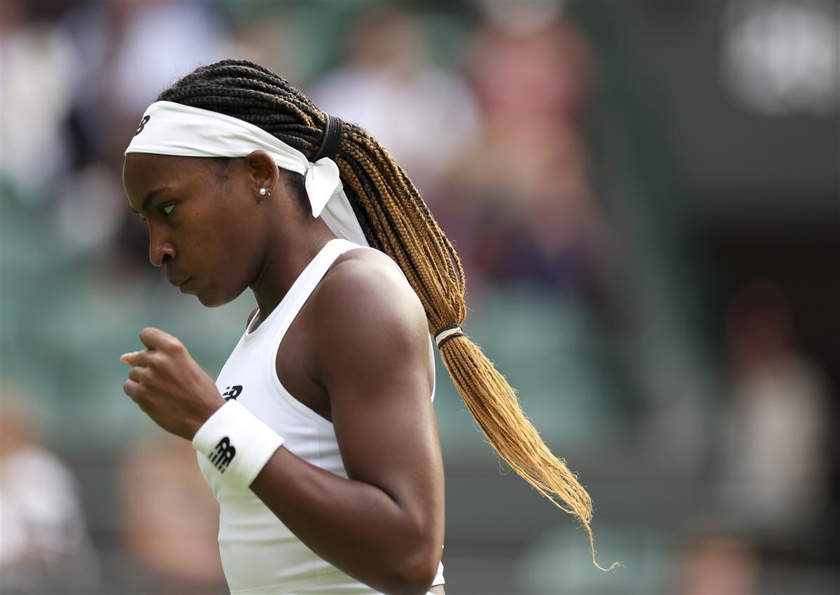 分析的是 分析的是